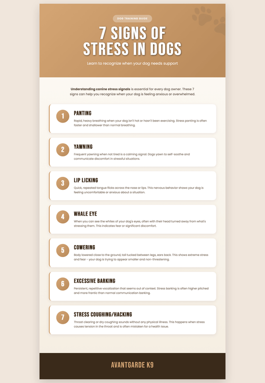 7 Signs of Stress in Dogs Every Owner Should Recognize - Avant Garde K9