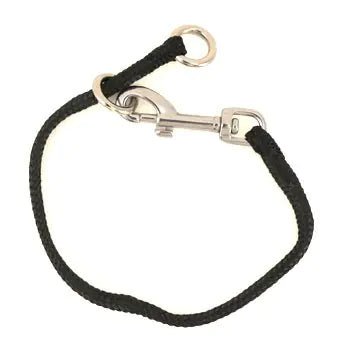 22" Dominant Dog Collar - Avant Garde K9