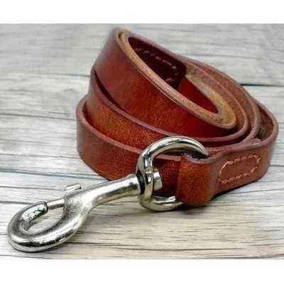 Didog Stylish Leather Dog Leash - Avant Garde K9